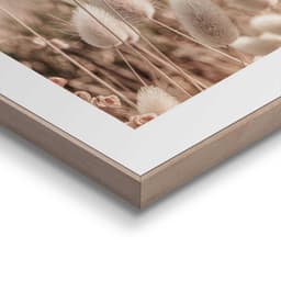 Reinders! Poster Ziergras | Beige
