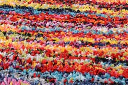 OCI DIE TEPPICHMARKE Hochflor-Teppich Sixteen Round | Mehrfarbig