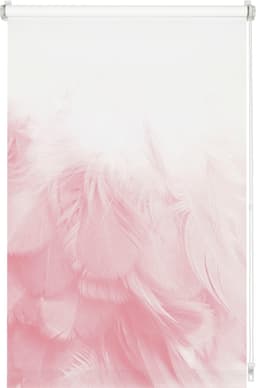 Seitenzugrollo Easyfix Rollo Digiprint | Rosa
