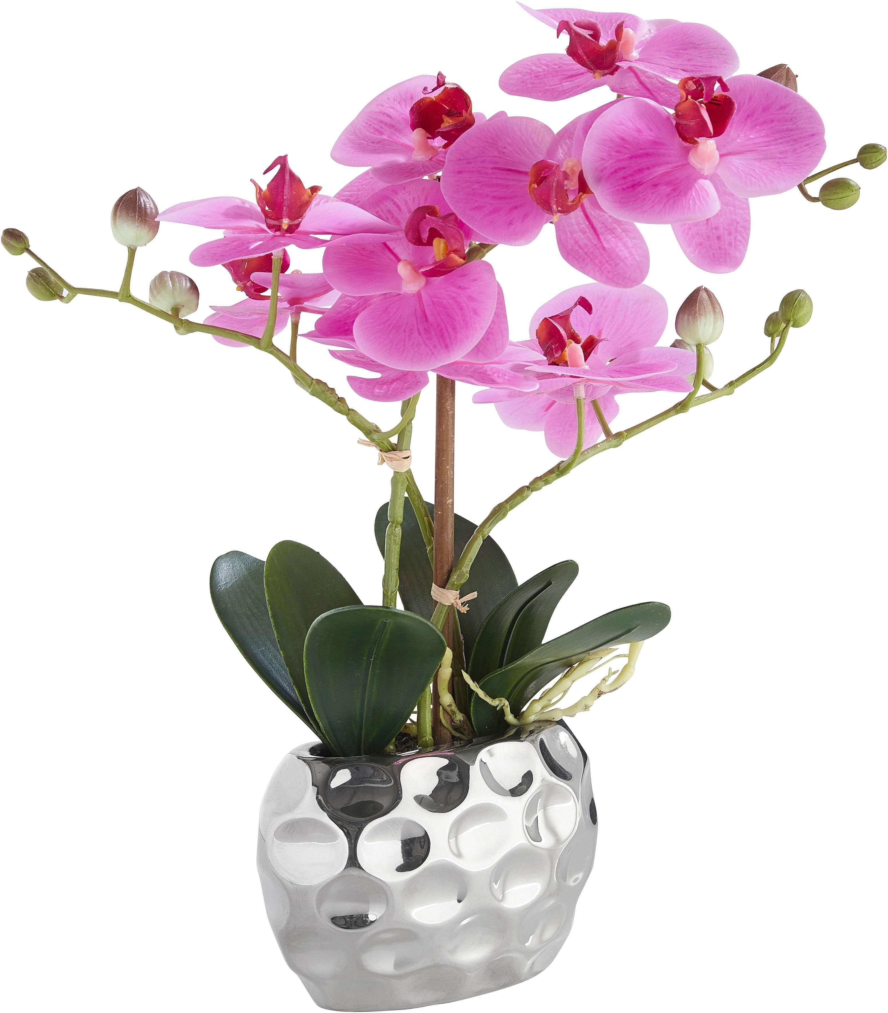 Kunstpflanze Orchidee von OTTO home | Mehrfarbig