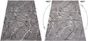 OTTO home Teppich Tjara | Grau 4