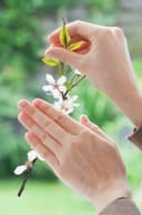 Komar Fensterbild Cheerful Schmetterlinge | Mehrfarbig 3