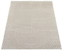 the carpet Teppich Santo Plus | Beige 2
