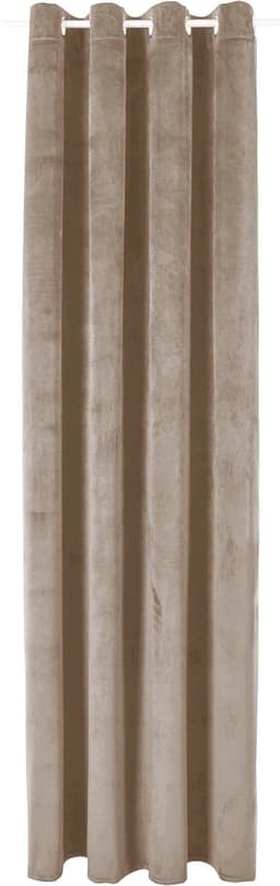 LeGer Home by Lena Gercke Vorhang Samt Ladina | Beige