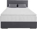 COTTA Boxbett Tom | Grau 5