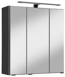 welltime Spiegelschrank Trento | Grau