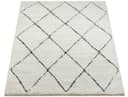 the carpet Teppich Bahar Shaggy | Beige 3
