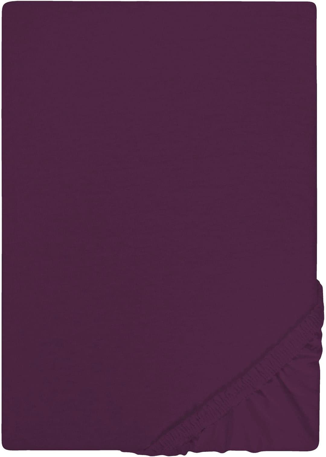 Castell Jersey Spannbettlaken | Lila