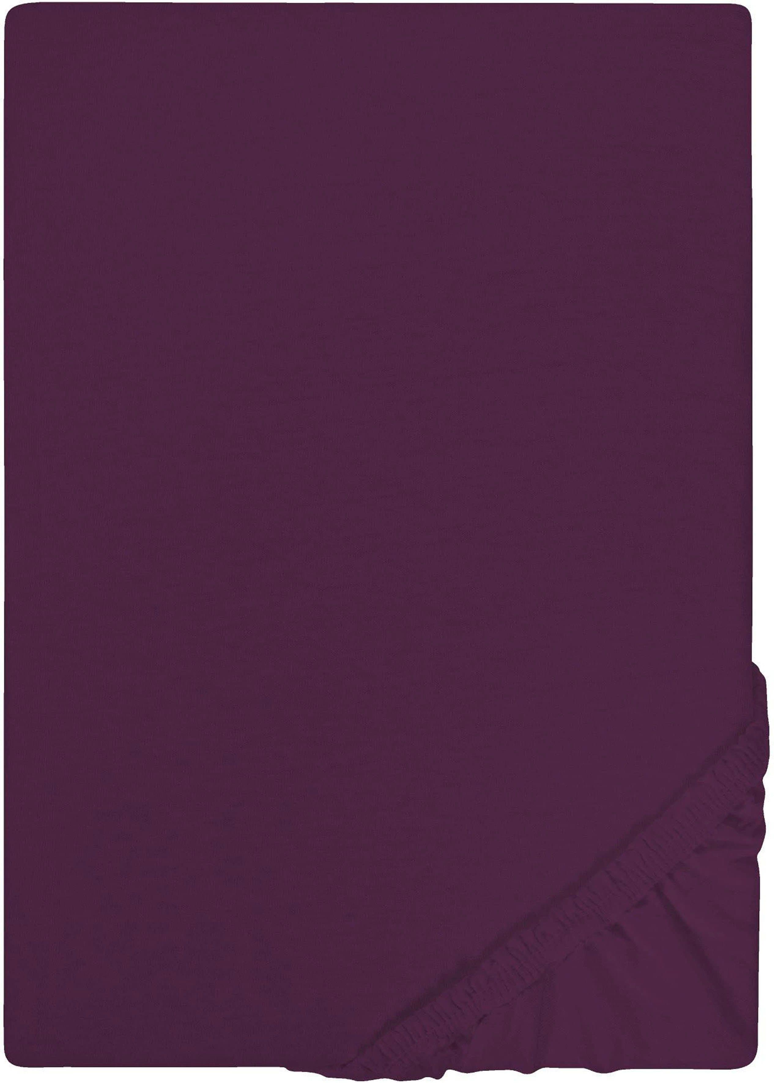 Castell Jersey Spannbettlaken | Lila