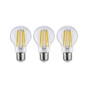 Paulmann LED-Leuchtmittel Eco-Line | Transparent 2