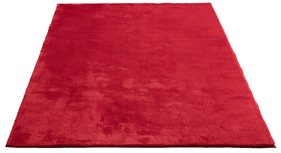 the carpet Teppich Relax | Rot