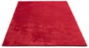 the carpet Teppich Relax | Rot 3