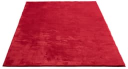 the carpet Teppich Relax | Rot