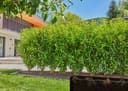 GARDENA Bewässerungssystem Tropfbewässerung Set | Schwarz 5