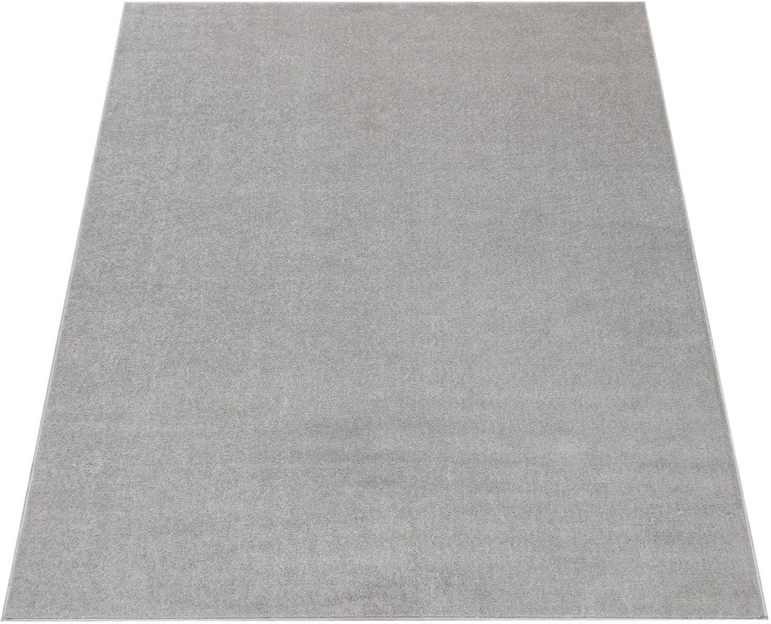 Paco Home Teppich Porto 890 | Grau