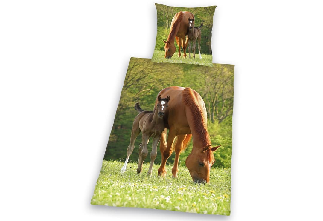 Herding Young Collection Bettwäsche Pferd mit Fohlen | Grün