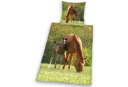 Herding Young Collection Bettwäsche Pferd mit Fohlen | Grün