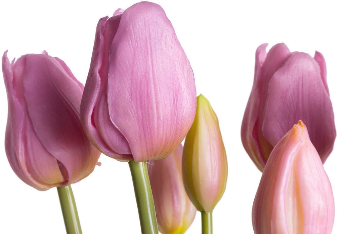 Botanic-Haus Kunstblume Tulpenbündel | Lila
