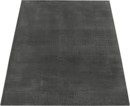 Paco Home Teppich Cadiz 630 | Grau