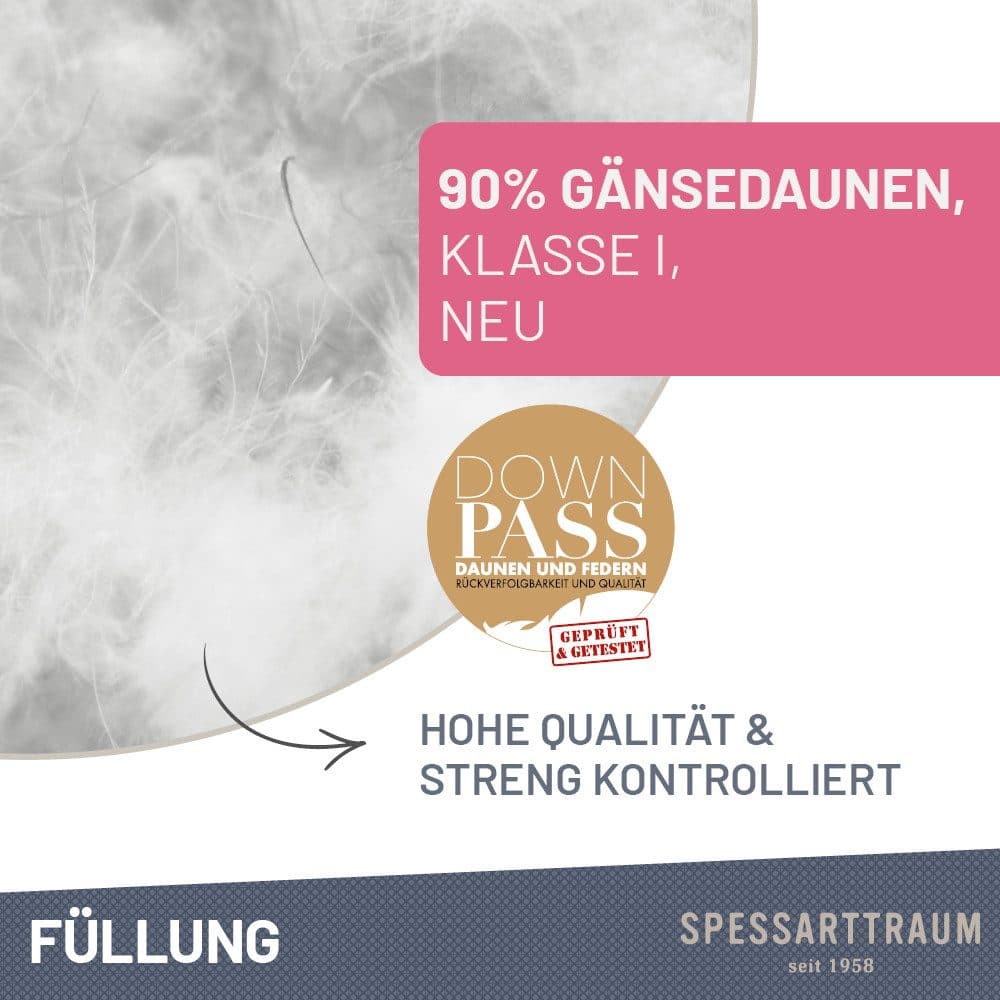 SPESSARTTRAUM Gänsedaunenkopfkissen Premium | Weiß