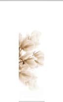 Schiebegardine KESSI | Beige 3