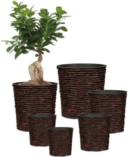 Scheurich Wasserhyazinthentopf brown 34/504 | Braun