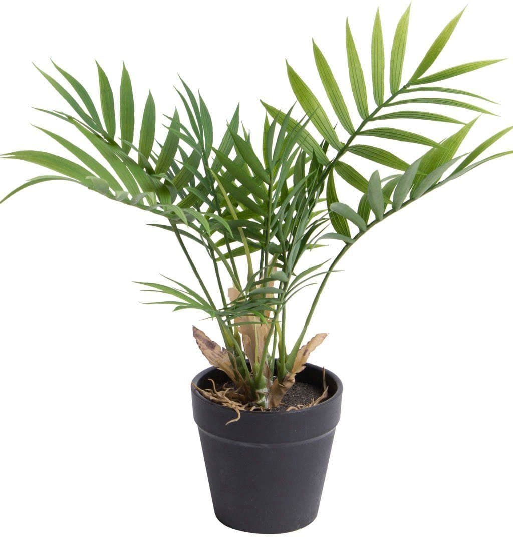 Künstliche Zimmerpflanze Chamaedorea Palme | Grün