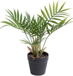 Künstliche Zimmerpflanze Chamaedorea Palme | Grün
