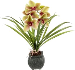 Kunstblume Orchidee | Grün