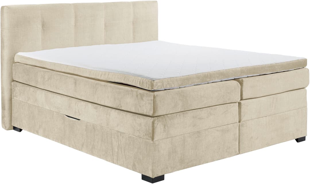ED EXCITING DESIGN Boxspringbett Fanes | Beige