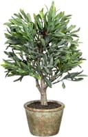 Künstliche Olive | Grün