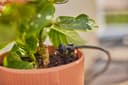 GARDENA Bewässerungssystem Micro-Drip-System Balkon | Schwarz 4
