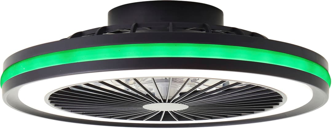 Brilliant LED Deckenleuchte Palmero | Schwarz