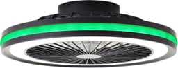 Brilliant LED Deckenleuchte Palmero | Schwarz