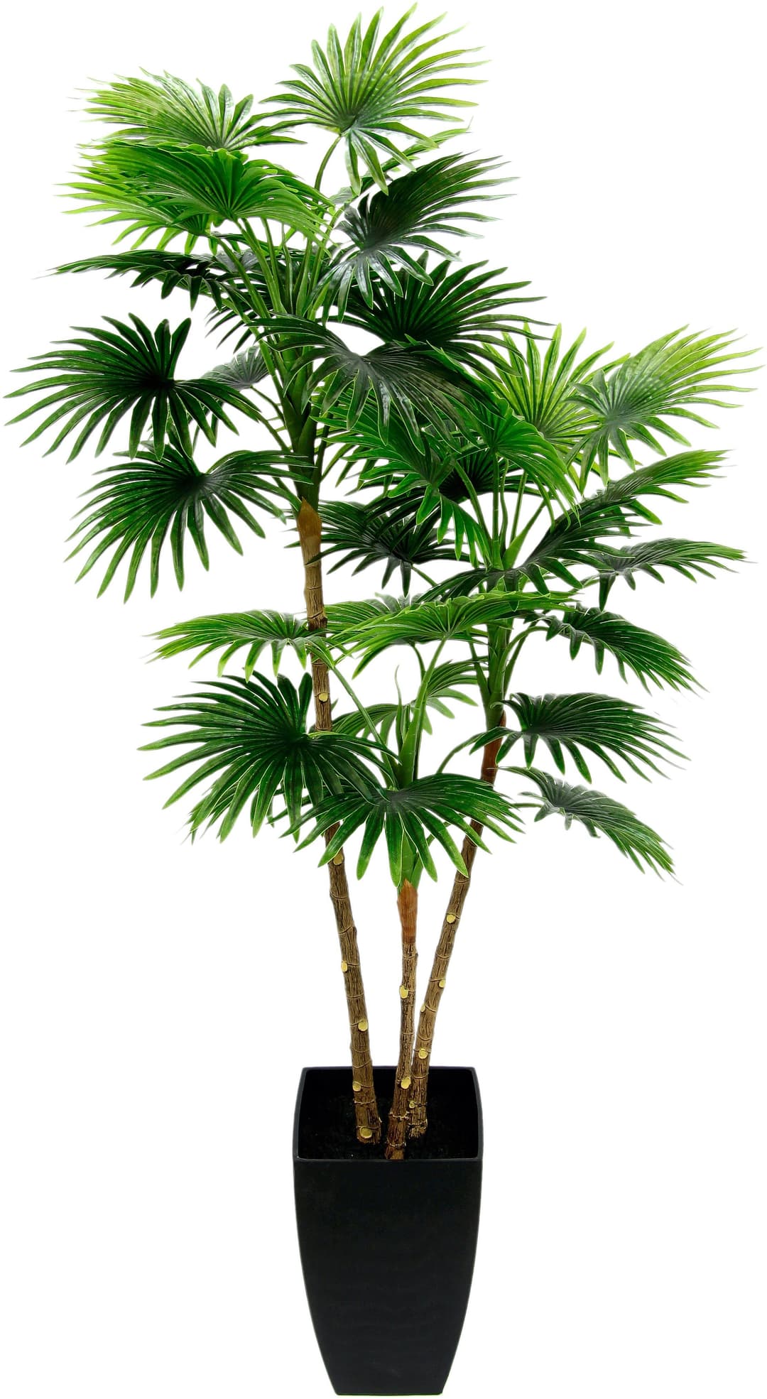 Kunstbaum Fächerpalme | Grün