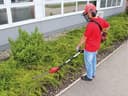 Einhell Garten-Multifunktionsgerät GE-HC 18 Li T Kit | Mehrfarbig 3