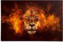 Reinders! Poster Löwe in Flammen | Braun