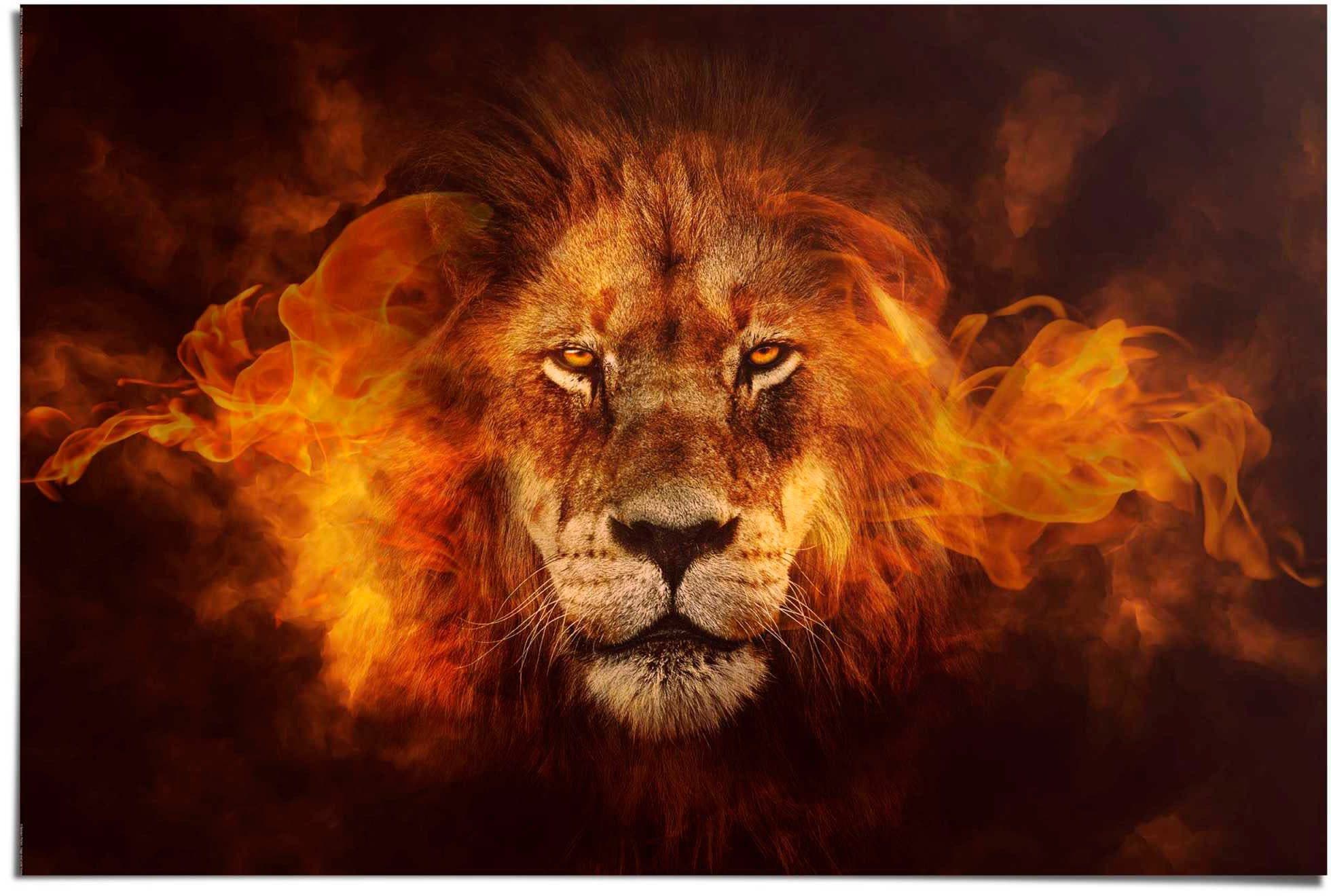 Reinders! Poster Löwe in Flammen | Braun