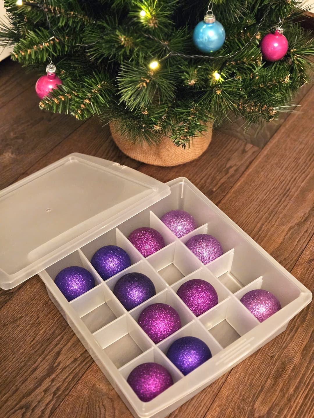 Ruco Aufbewahrungsbox | Transparent