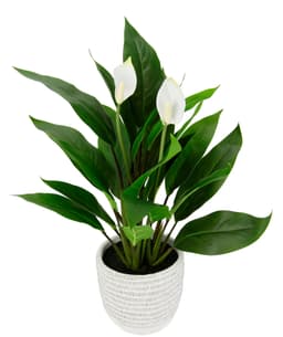 Kunstpflanze Spathiphyllum | Grün