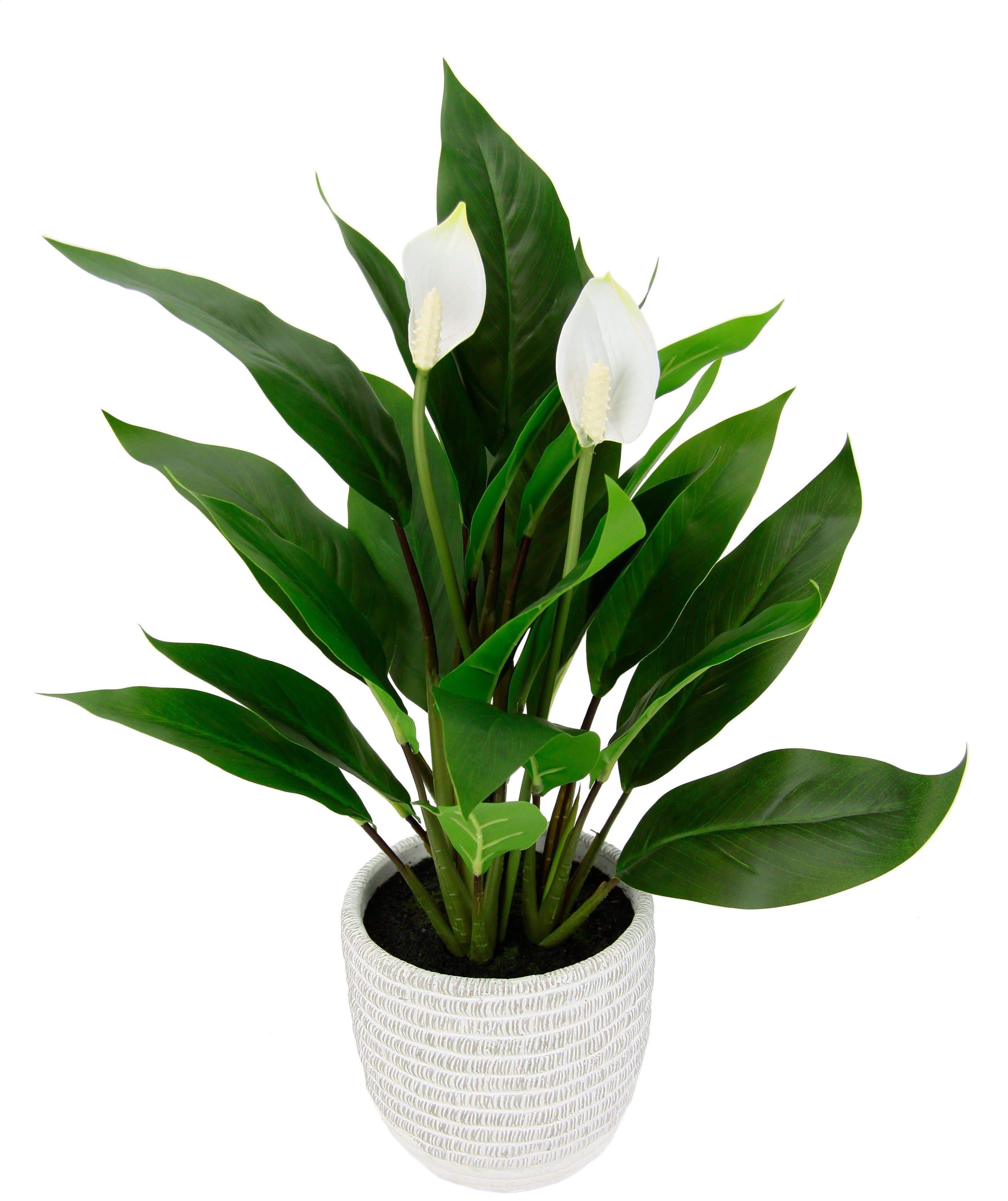Kunstpflanze Spathiphyllum | Grün