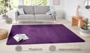 HANSE Home Teppich Shashi | Lila 3