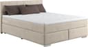 COTTA Boxspringbett Simba | Beige