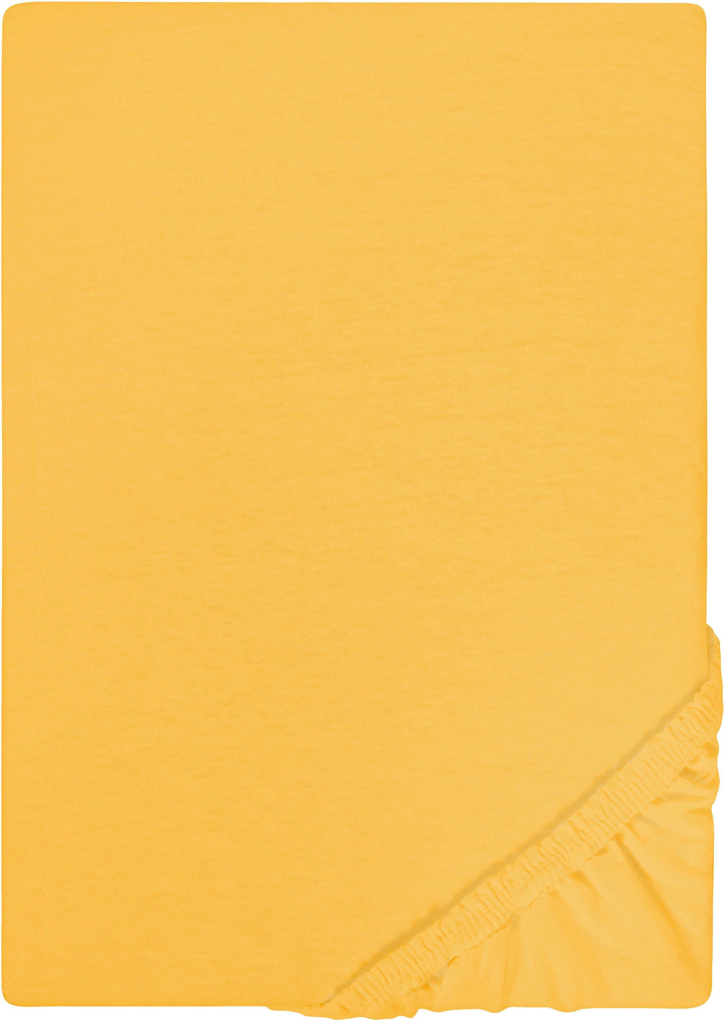 Castell Spannbettlaken Jersey | Gelb