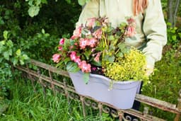 KHW Flowerclip XXL Balkonkasten | Grau