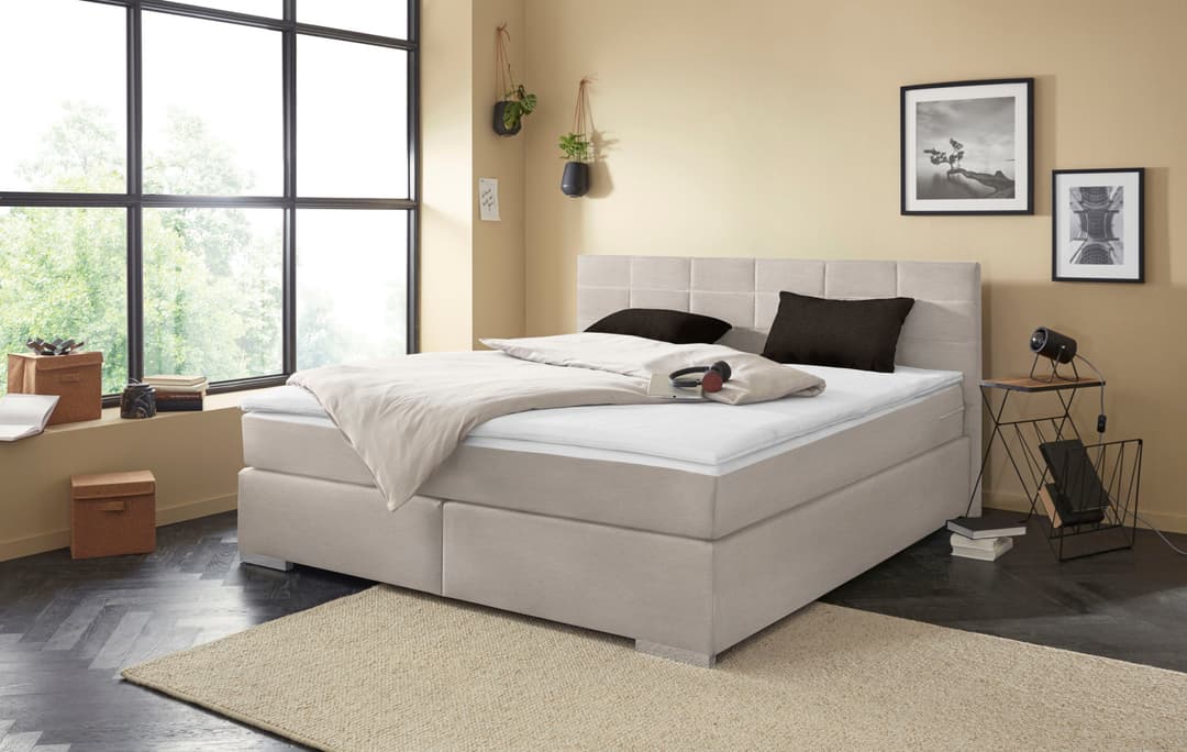 COTTA Boxspringbett Simba | Grau