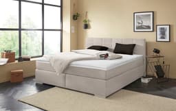 COTTA Boxspringbett Simba | Grau