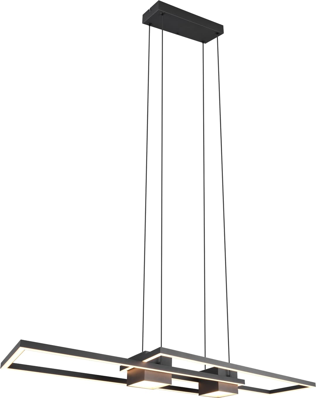 TRIO Leuchten ALBANY LED Pendelleuchte | Schwarz