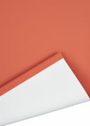 Springrollo Uni | Terrakotta 3
