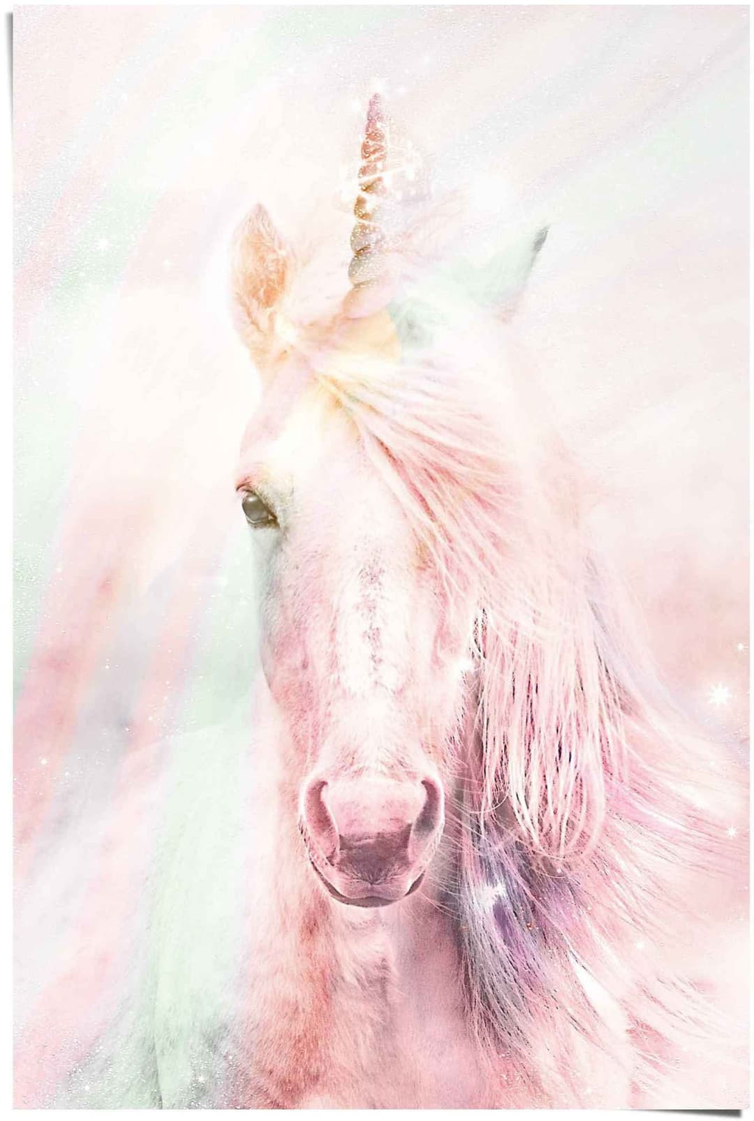 Reinders! Poster Magisches Einhorn | Mehrfarbig
